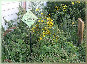 Yard smart sign in a yard smart garden with native flowers.