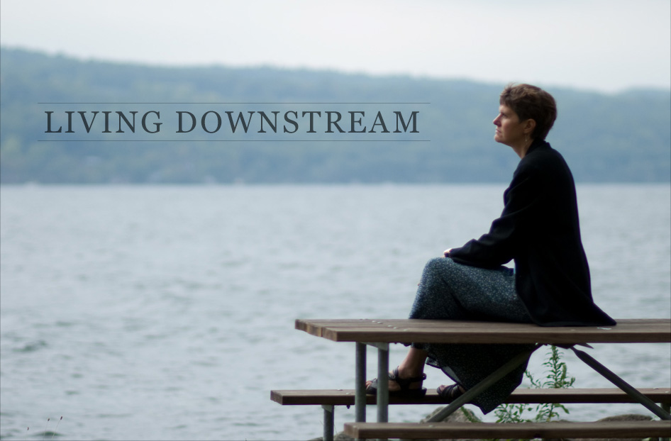 "Living Downstream" poser featuring a woman sitting on a picnic bench in front of a body of water.