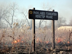 A brown Parklands Foundation Ridgetop Prairie sign in front of a forest fire.