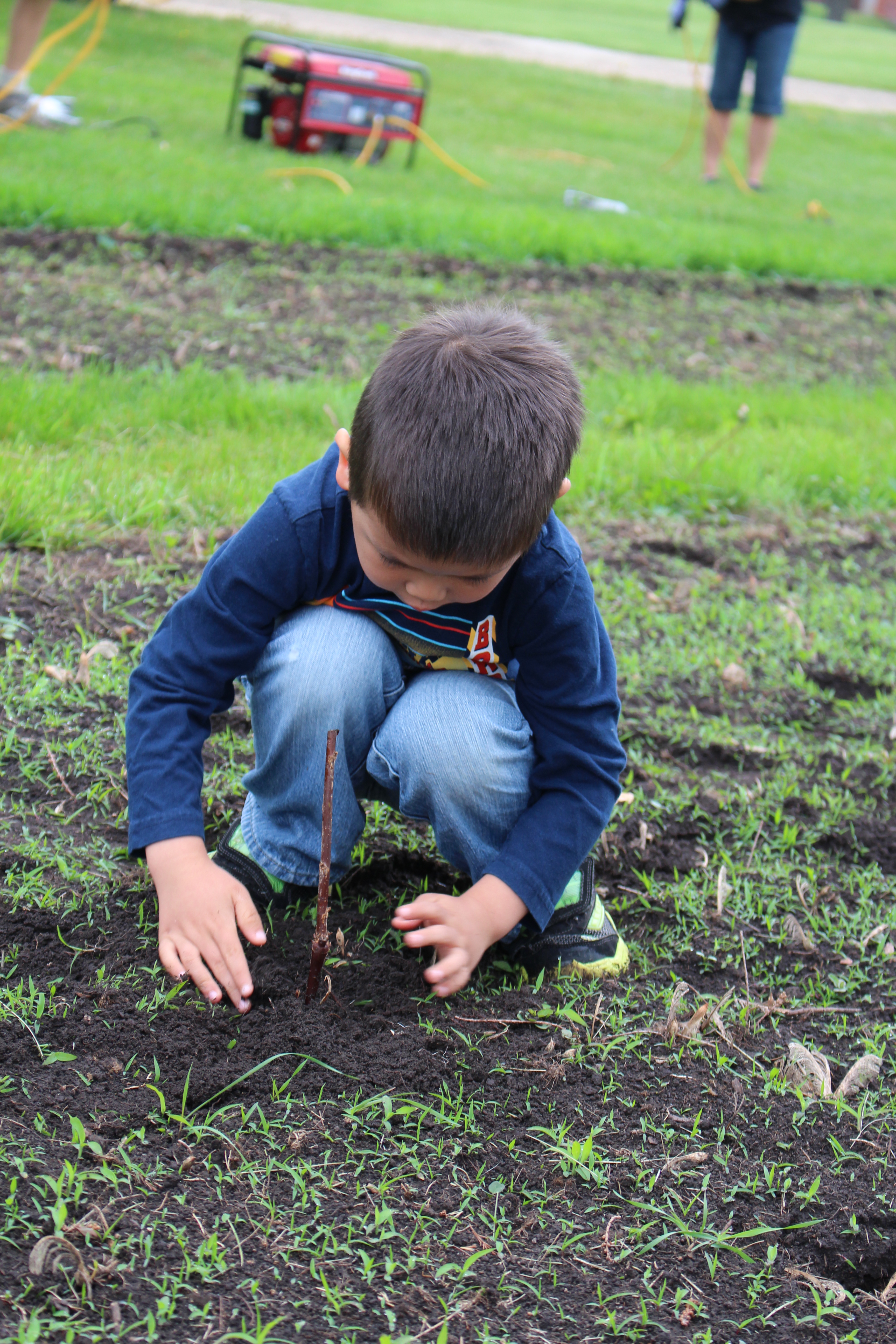 A little boy kneeling down in a garden planting something.