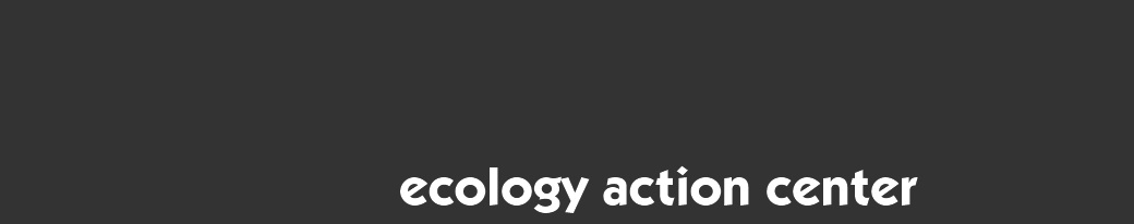 Dark gray webheader with text "ecology action center" in white.