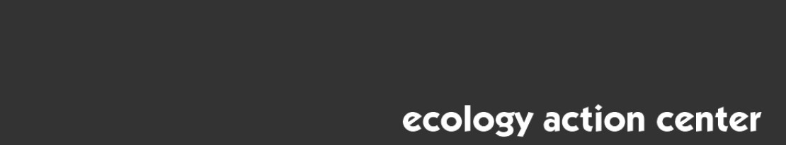 Dark gray webheader with text "ecology action center" in white.