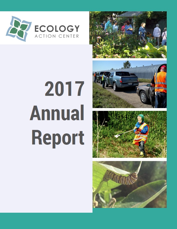 Front page of the 2017 annual report
