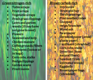 a graphic comparing Green nitrogen rich products and brown nitrogen rich products that can be composted. Examples of Greens are table scraps, fruit scraps, vegetable scraps, fresh grass clippings, lawn and garden weeds (if they have not gone to seed), flowers, seaweed and kelp, chicken manure, coffee groups/filter, tea leaves (loose or in bags), corn cobs, stalks, hedge clippings, garden waste, fresh leaves. Example of browns are dry leaves, straw and hay, shrub prunings, pine needles/cones, chopped twigs/branches, wood ash, newspaper, shredded paper (avoid glossy paper), cardboard (shredded), corn cobs, stalks, dryer lint (from natural fibers), sawdust (from untreated woods), eggshells, brown paper bags (shredded).