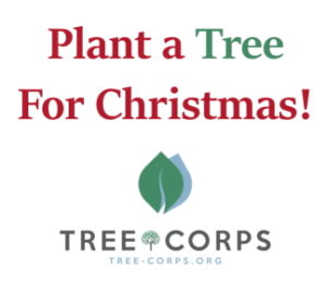 Plant a tree for Christmas tree corps logo