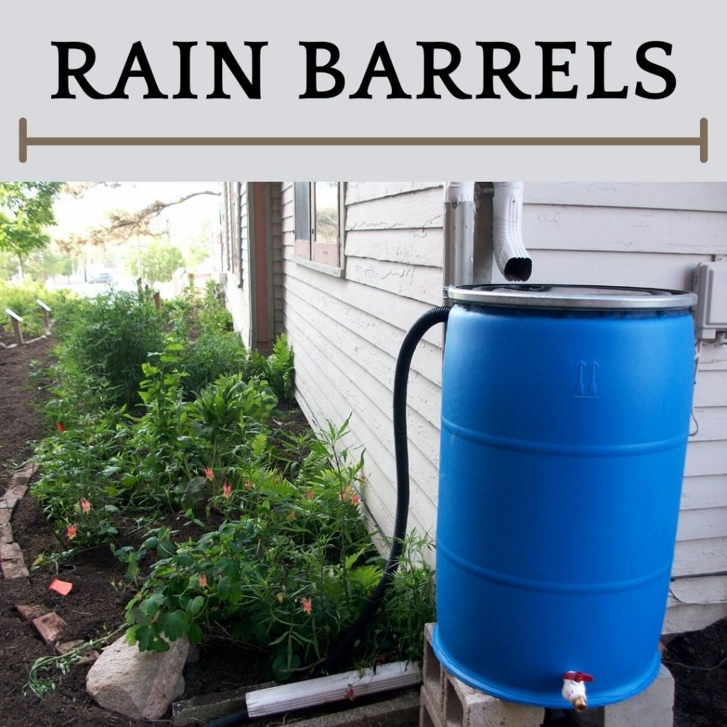 This is an image of a rain barrel