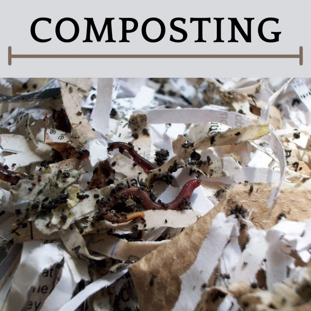 This is an image of vermicomposting