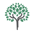 Tree graphic design with green leaves fanning out from four branches.