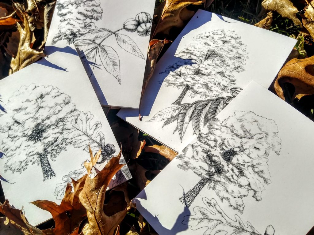 Cards with hand drawn trees on them atop of auburn leaves