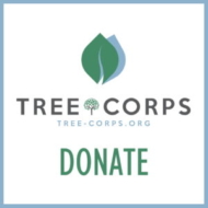 Donation graphic for Tree Corps to aid in the planting of 10,000 in 2023