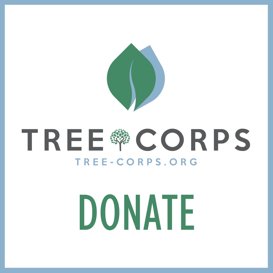 tree corps donate