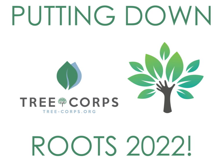 putting down roots 2022
