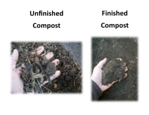 A hand holding chunky unfinished compost vs a hand folding finished compost