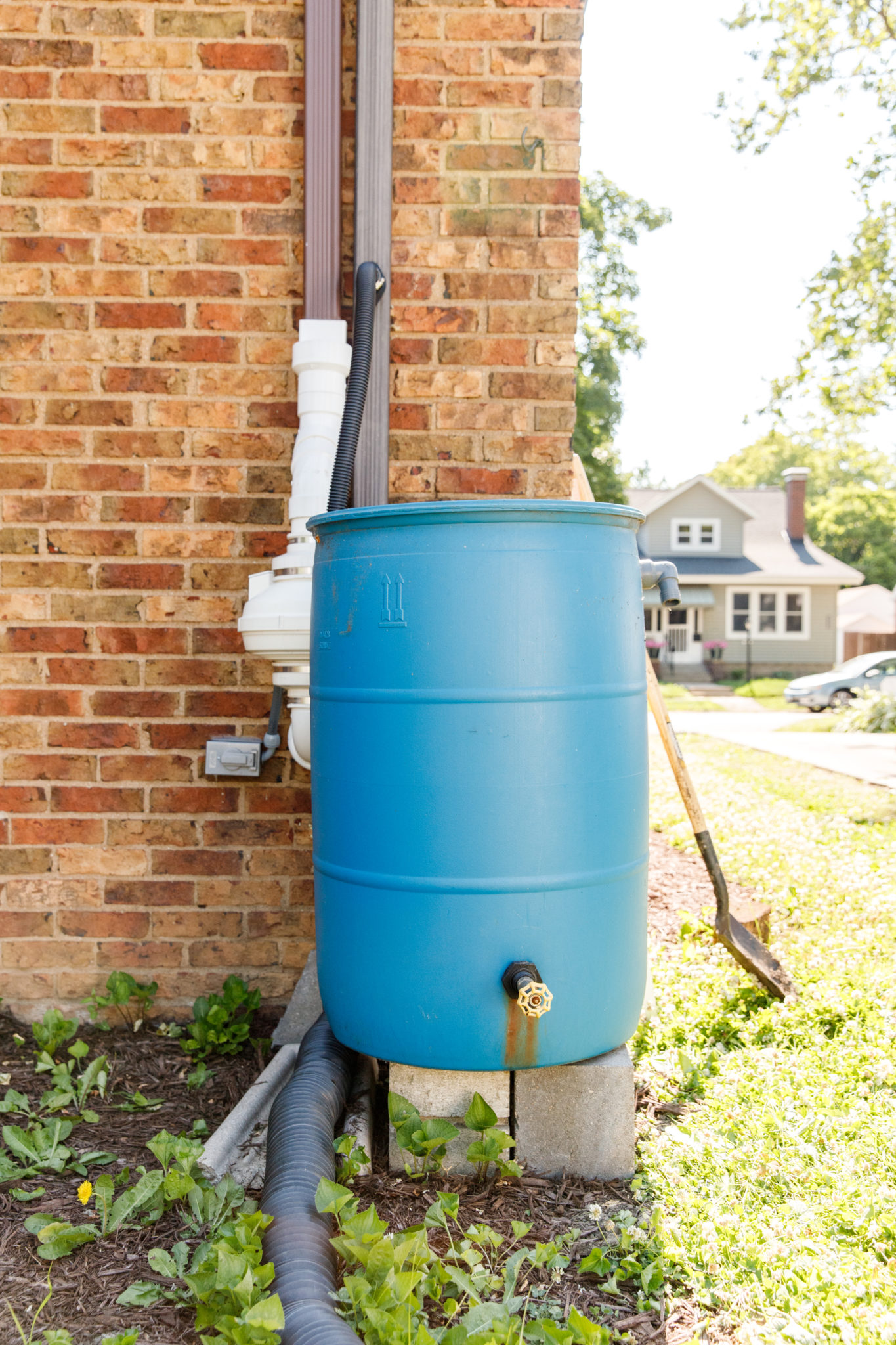 Rain Barrels – Ecology Action Center