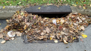 leaves clogging a storm drain