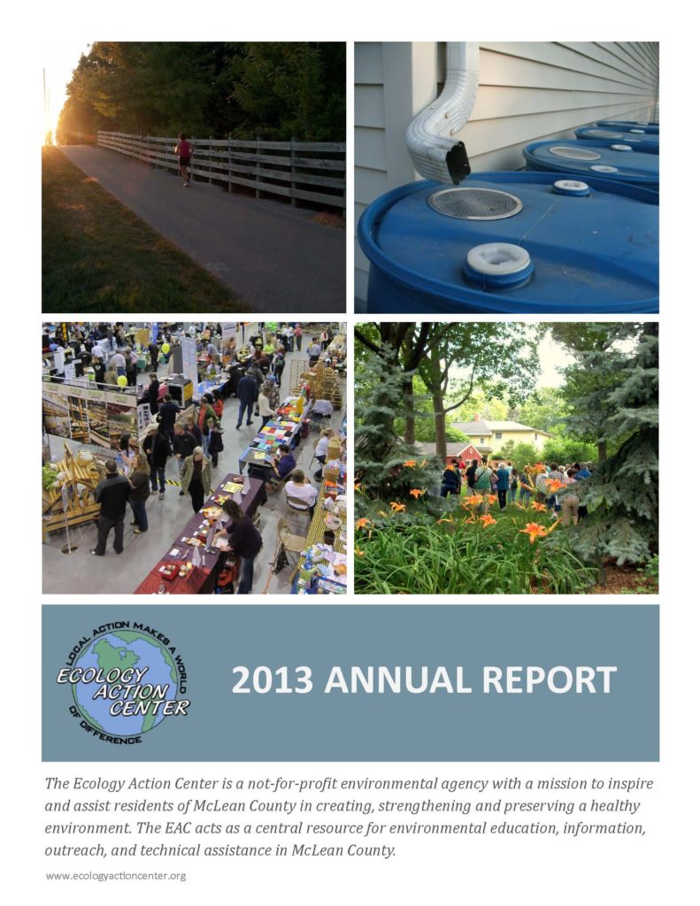 First page of the 2013 Annual Report