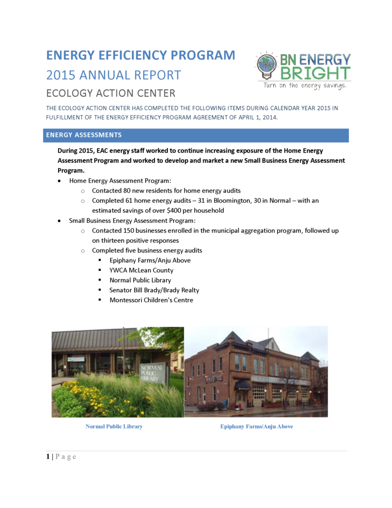 First page of the 2015 Annual Energy Report
